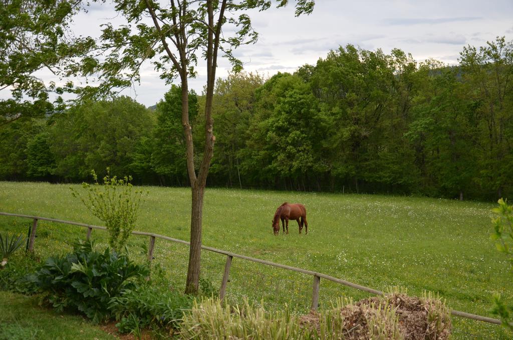 La Gueriniere Bed & Breakfast Cenac-et-Saint-Julien Exterior photo